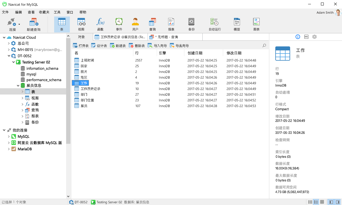 Navicat for MySQL Windows Edition